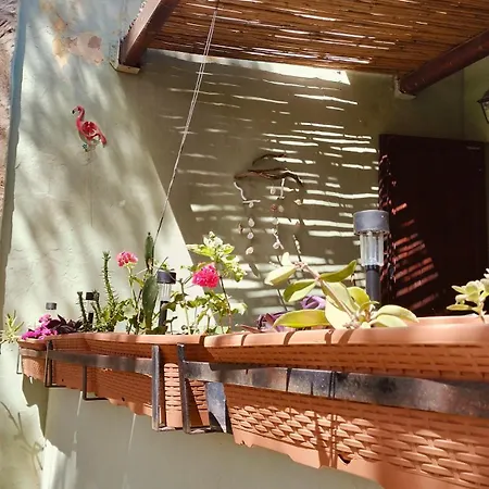Domunosta Pinus Village * فورت فيليدج