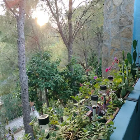 Lejlighed Domunosta Pinus Village *