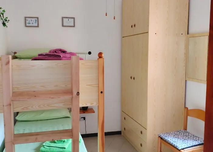 Domunosta Pinus Village *
